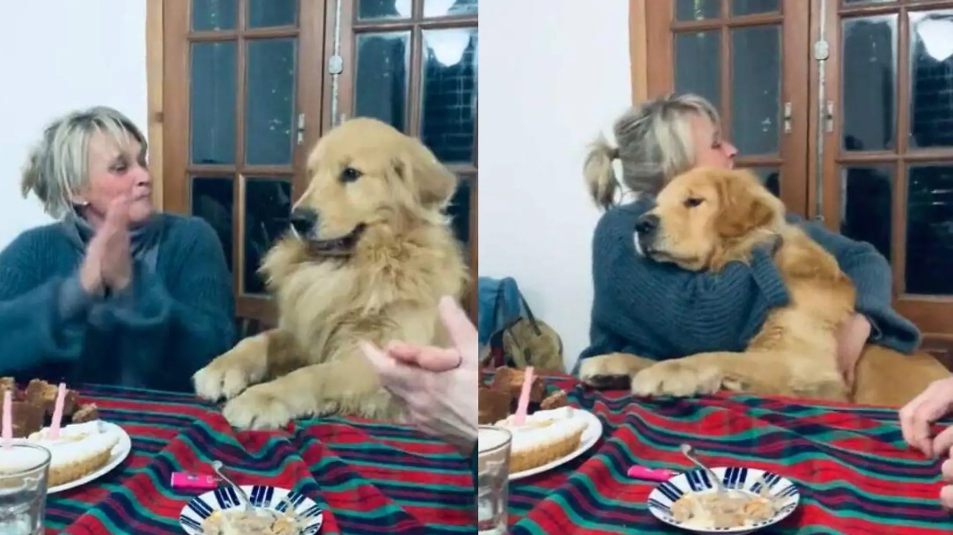 Perrito celebra de gran festejo por cumpleaños